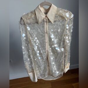 NEW Zara Cream Paillettes/Sequin Sheer Blouse